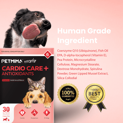 Human Grade Ingredient coq10 for dogs and cats