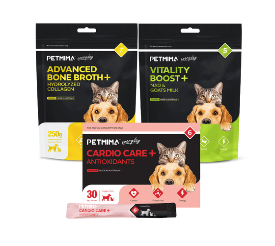 Senior Supplements Bundle For Dogs & Cats