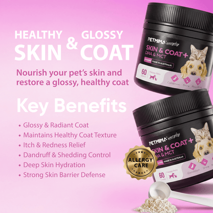 skin and coat supplements for dogs benefits
