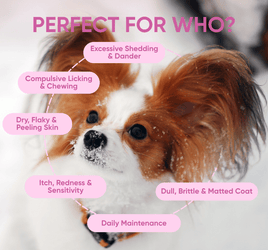 skin supplements for dogs perfect for who