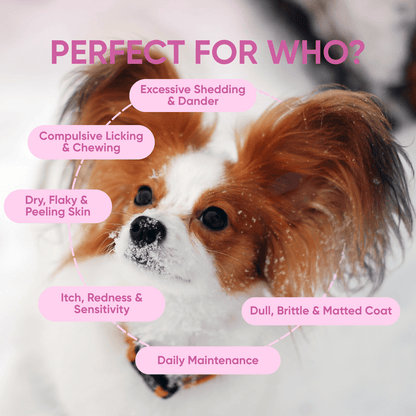 skin supplements for dogs perfect for who
