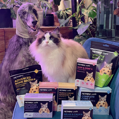 skin and coat supplements for cats review