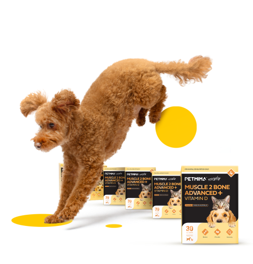 Premium Dog and Cat Supplements 
