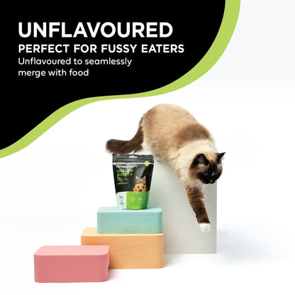 Cat standing on colorful blocks with PETMIMA immune support supplements  unflavoured food for fussy eaters.